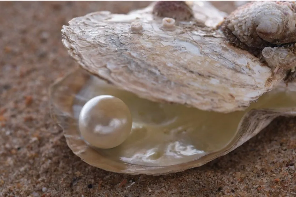 A Parábola da Pérola de Grande Valor