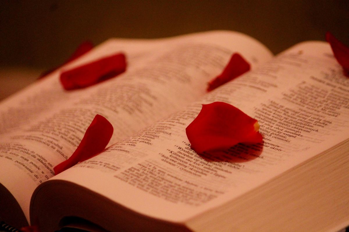 Versículos Bíblicos sobre Amar a Deus Acima de Tudo