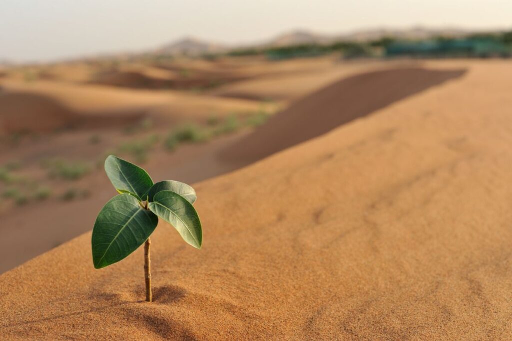 Versículos que Ajudam a Superar Adversidades com Fé
