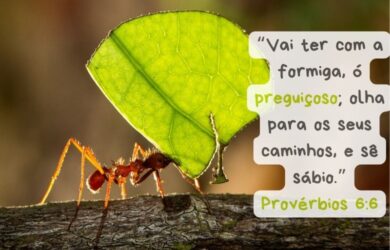 16 Versículos da Bíblia sobre Preguiça