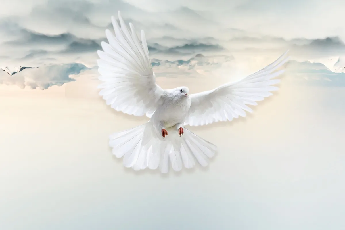 versículos sobre ser cheio do Espírito Santo